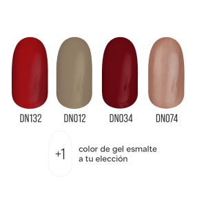 Diamond Nails Gel Esmalte – Fall Colors Set 4+1 pcs (Colores Otoñales)