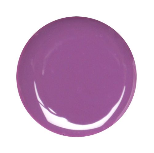 Gel de Color Violeta 025