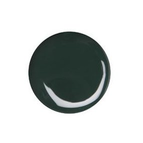Diamond Nails Gel de Color - 040 - Verde Oscuro 5g