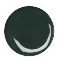 Gel de Color Verde Oscuro  040